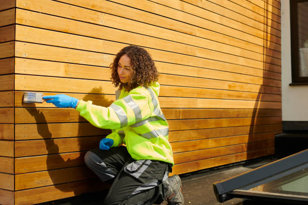 Best Custom Siding Design  in New Orleans Station, LA